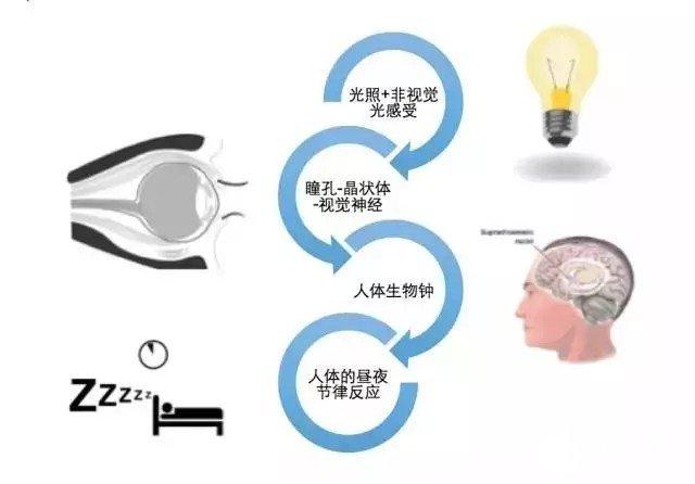 LED照明行业(图4)